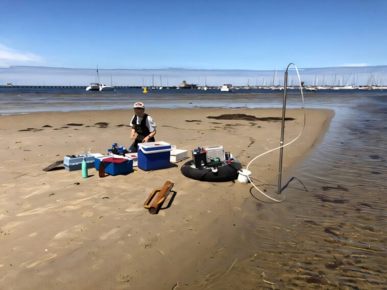 Les algues sur les côtes sablonneuses contribuent aux émissions de gaz à effet de serre, montre l'étude