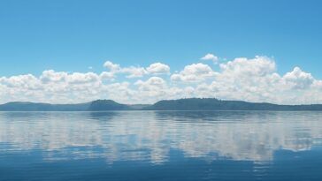 Les bas-fonds du lac peuvent être des points chauds de la biodiversité - mais le réchauffement change leur écologie complexe