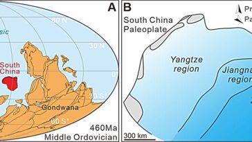 Les chercheurs révèlent le premier signal MDICE complet dans le dossier d'isotopes de carbone organique ordovicien