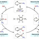 Les chimistes résolvent le puzzle mécaniste centenaire du catalyseur en cuivre