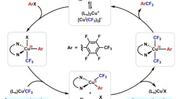 Les chimistes résolvent le puzzle mécaniste centenaire du catalyseur en cuivre