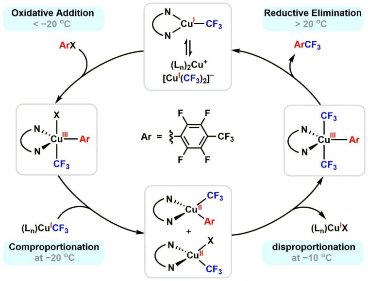 Les chimistes résolvent le puzzle mécaniste centenaire du catalyseur en cuivre