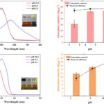 Les déchets de moulin à pulpe deviennent une solution verte pour éliminer les colorants toxiques