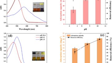 Les déchets de moulin à pulpe deviennent une solution verte pour éliminer les colorants toxiques