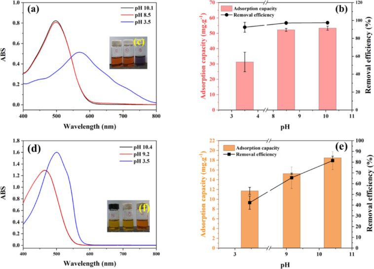 Les déchets de moulin à pulpe deviennent une solution verte pour éliminer les colorants toxiques