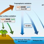 Les émissions industrielles de mercure d'Asie tracées au zooplancton de l'océan Les émissions industrielles de mercure d'Asie tracées au zooplancton de l'océan