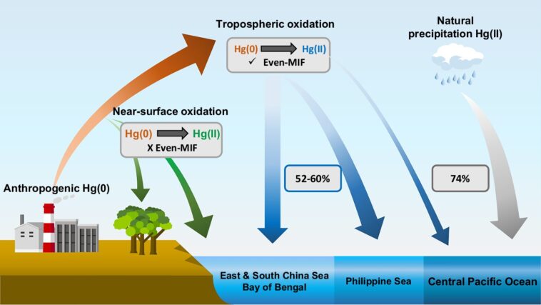 Les émissions industrielles de mercure d'Asie tracées au zooplancton de l'océan