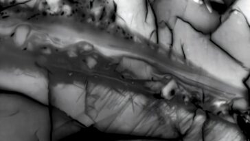 Les géologues découvrent où va l'énergie pendant un tremblement de terre