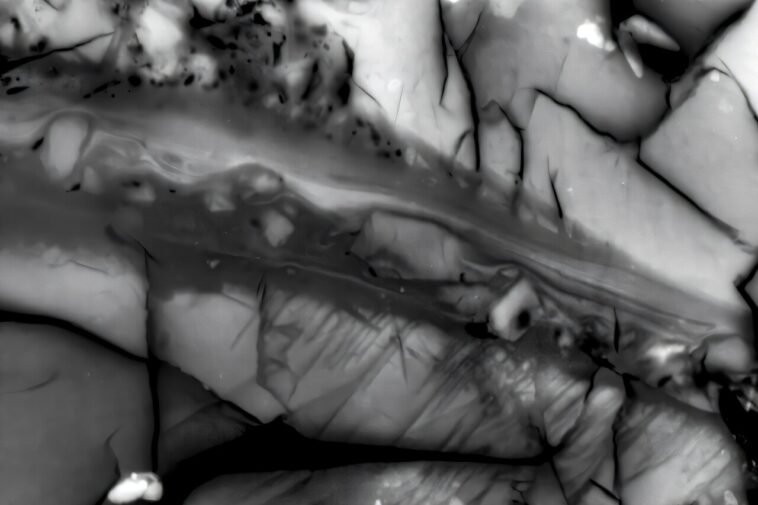 Les géologues découvrent où va l'énergie pendant un tremblement de terre