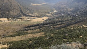 Les glaciers des Andes ont grandi pendant la période de Dryas plus jeune, les résultats de l'étude