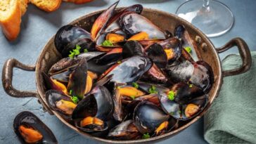 Les huîtres d'élevage, les moules et les palourdes sont-elles les aliments verts ultimes?