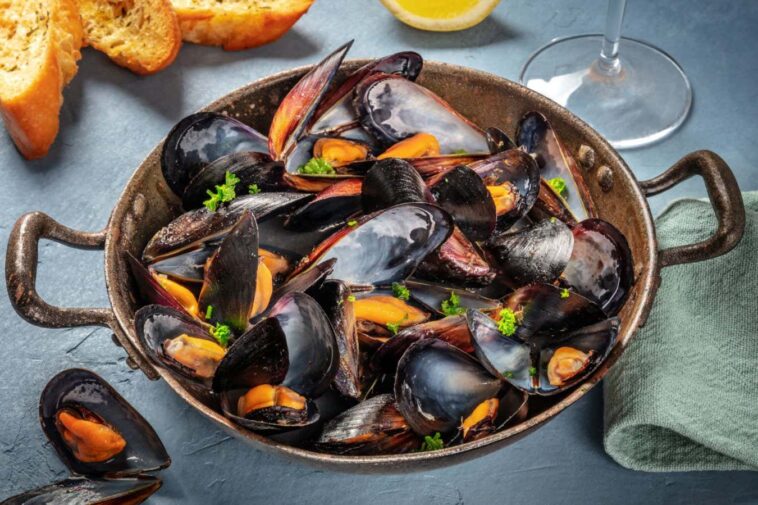 Les huîtres d'élevage, les moules et les palourdes sont-elles les aliments verts ultimes?
