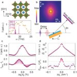 Les impulsions de lumière infrarouge ultra-balançoires déclenchent une `` respiration '' rapide dans un film mince