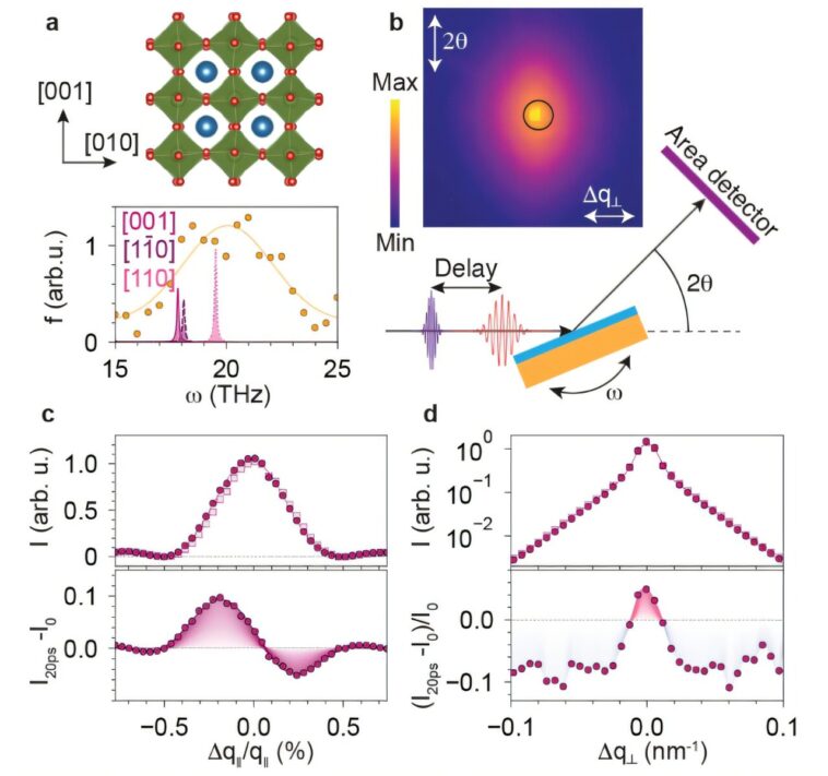 Les impulsions de lumière infrarouge ultra-balançoires déclenchent une `` respiration '' rapide dans un film mince