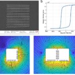 Les microparticules magnétiques auto-assemblées imitent la correction des erreurs biologiques