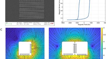 Les microparticules magnétiques auto-assemblées imitent la correction des erreurs biologiques