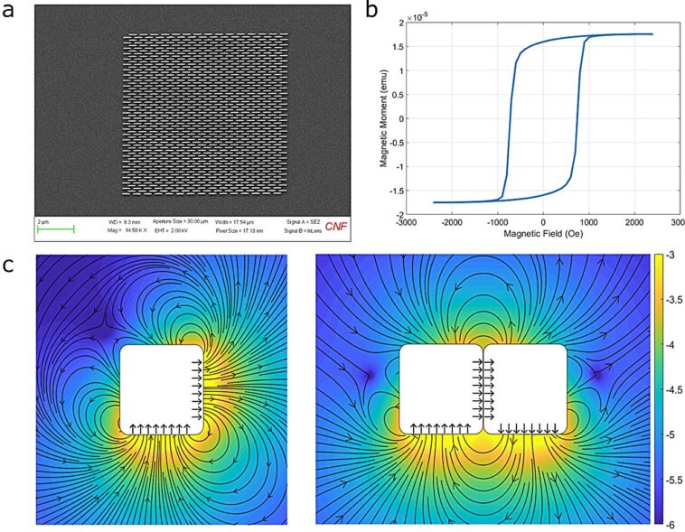 Les microparticules magnétiques auto-assemblées imitent la correction des erreurs biologiques