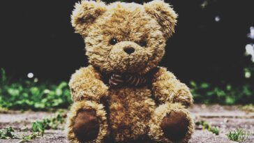 Les ours en peluche pourraient être de précieux outils de conservation, mais ils ont besoin d'un nouveau look, soutiennent les chercheurs