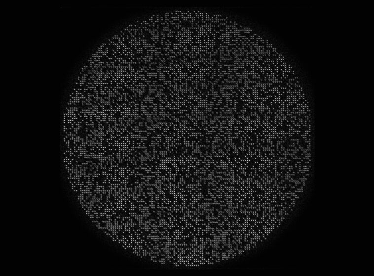 Les physiciens ont établi un record avec un tableau de 6100 qubit