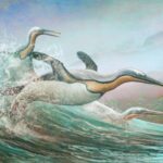 Les pingouins précoces peuvent avoir utilisé des becs de poignard pour embrasser les proies