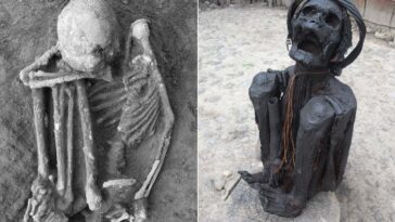 Les plus anciennes momies humaines ont été lentement fumées il y a 14 000 ans