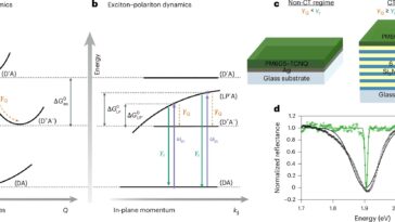 Les polaritons permettent un transfert de charge moléculaire accordable et efficace à travers un spectre de lumière plus large