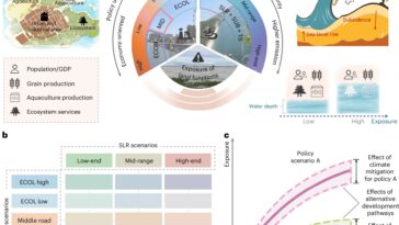 Les politiques de développement des terres côtières de la Chine peuvent l'emporter sur le changement climatique dans les risques inondables futurs