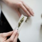 Les produits chimiques en marijuana peuvent affecter la fertilité des femmes