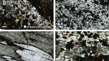 Les roches anciennes révèlent des forces révolutionnaires et des origines minérales critiques