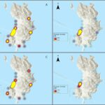Les scientifiques des citoyens révèlent des points chauds mondiaux de pollution plastique