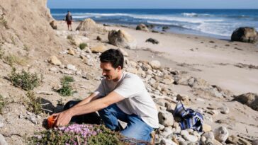 Les scientifiques se connectent aux signaux cachés du surf pour les données de cartographie potentielles