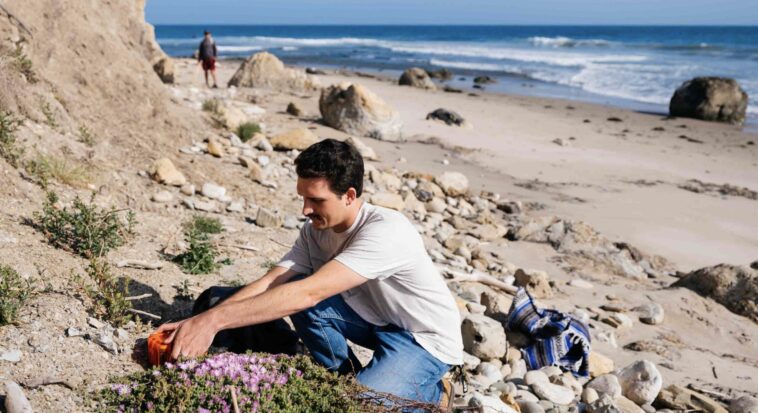 Les scientifiques se connectent aux signaux cachés du surf pour les données de cartographie potentielles