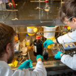 Les scientifiques transforment les déchets plastiques en matériaux de capture efficaces