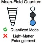 Les simulations des premiers principes révèlent un enchevêtrement quantique dans la dynamique moléculaire des polaritons