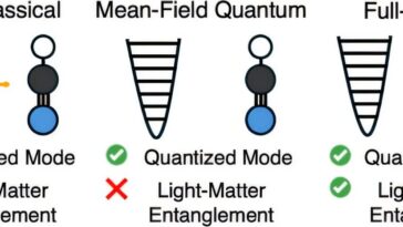 Les simulations des premiers principes révèlent un enchevêtrement quantique dans la dynamique moléculaire des polaritons