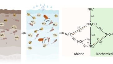 Les sols du désert peuvent émettre des gaz à effet de serre en quelques minutes, même sans microbes