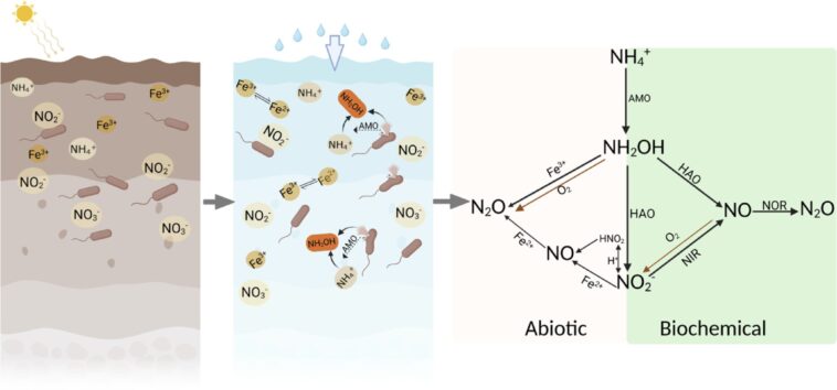 Les sols du désert peuvent émettre des gaz à effet de serre en quelques minutes, même sans microbes