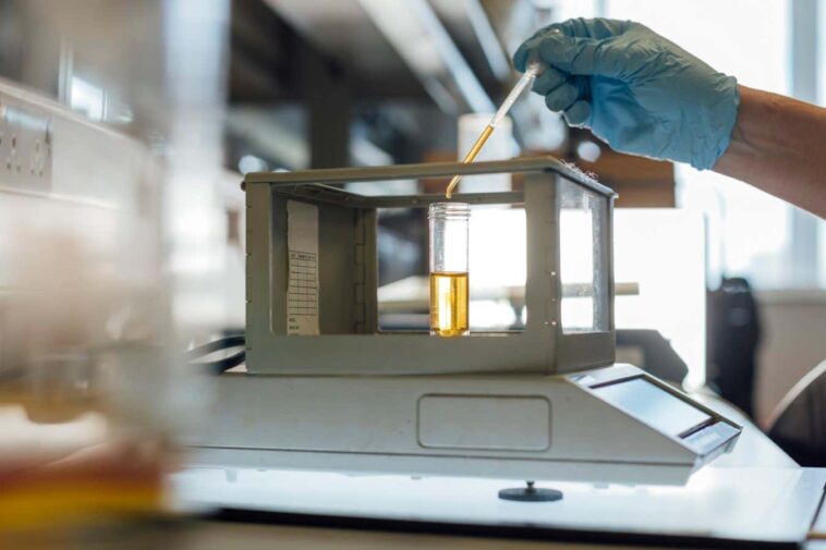 Les tests d'urine détectent le HPV à haut risque aussi efficacement que les écouvillons vaginaux DIY