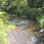 Les vagues de chaleur dans les rivières américaines augmentant jusqu'à quatre fois plus vite que les vagues de chaleur à l'air, les résultats de l'analyse