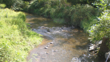 Les vagues de chaleur dans les rivières américaines augmentant jusqu'à quatre fois plus vite que les vagues de chaleur à l'air, les résultats de l'analyse