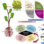 Mauvaise gestion des particules en plastique identifiée comme moteur clé de la contamination environnementale
