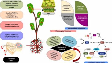 Mauvaise gestion des particules en plastique identifiée comme moteur clé de la contamination environnementale