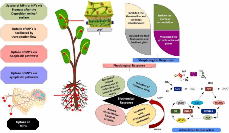Mauvaise gestion des particules en plastique identifiée comme moteur clé de la contamination environnementale