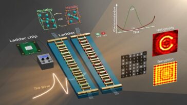 Metasurface à réglage électrique déverrouille l'holographie THz en temps réel