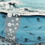 Méthane biogénique pulsé identifié comme conducteur clé de l'anoxie océanique pendant l'ère mésozoïque