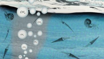 Méthane biogénique pulsé identifié comme conducteur clé de l'anoxie océanique pendant l'ère mésozoïque