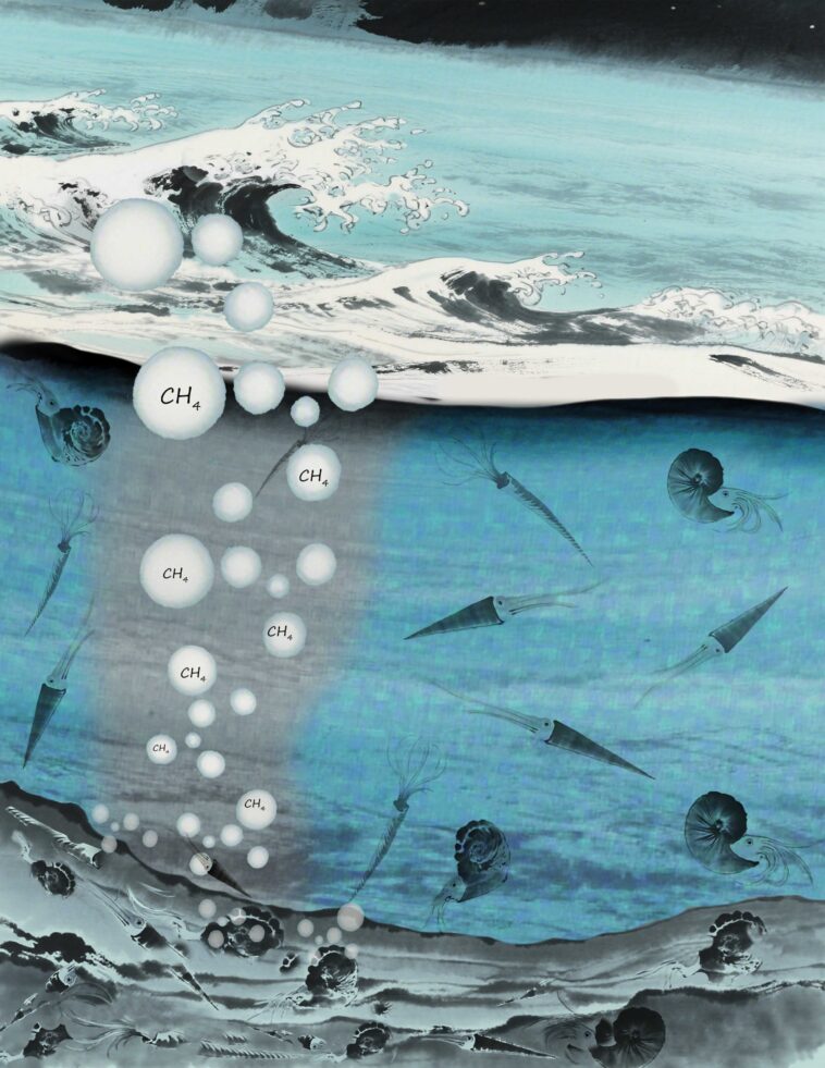 Méthane biogénique pulsé identifié comme conducteur clé de l'anoxie océanique pendant l'ère mésozoïque