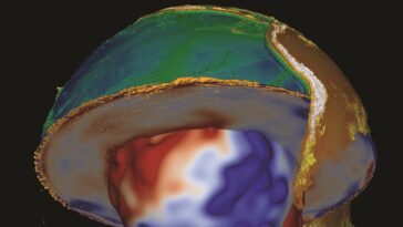 Nouveau manuel de géodynamique tectonique Bridges Disciplines scientifiques