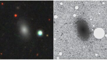 Nouvelle galaxie naine isolée de type précoce découvert