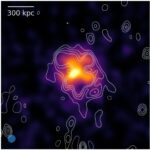 Nouvelle radio halo découverte avec Meerkat